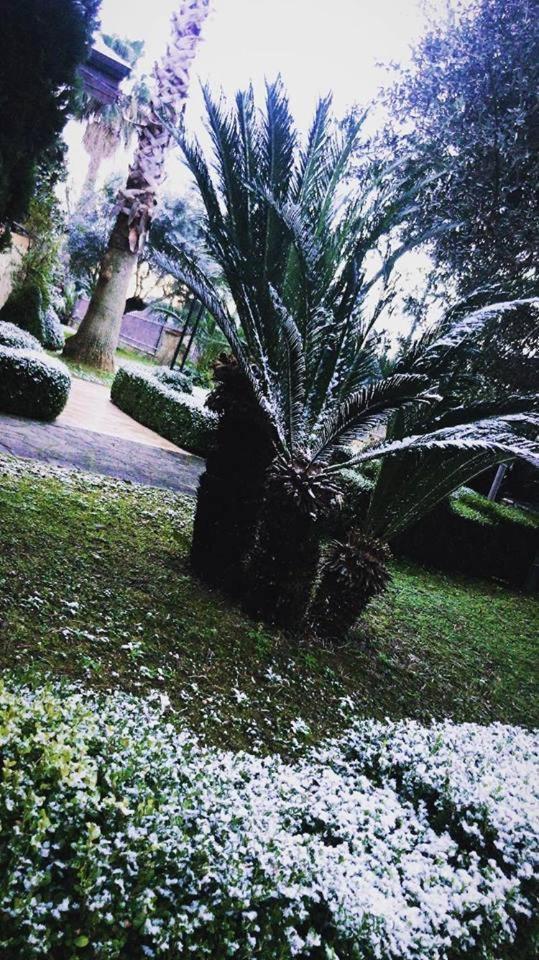 Agriturismo Terre Delle Monache Pontecagnano Faiano Exterior foto
